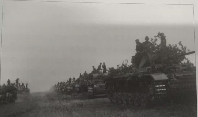 德国|德军二战的100万“动物部队”,没它们可能早就输了