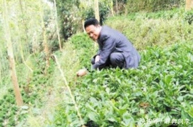 珠子|这种米营养价值非常高,祛湿效果明显,还能防癌!种植前景广阔!