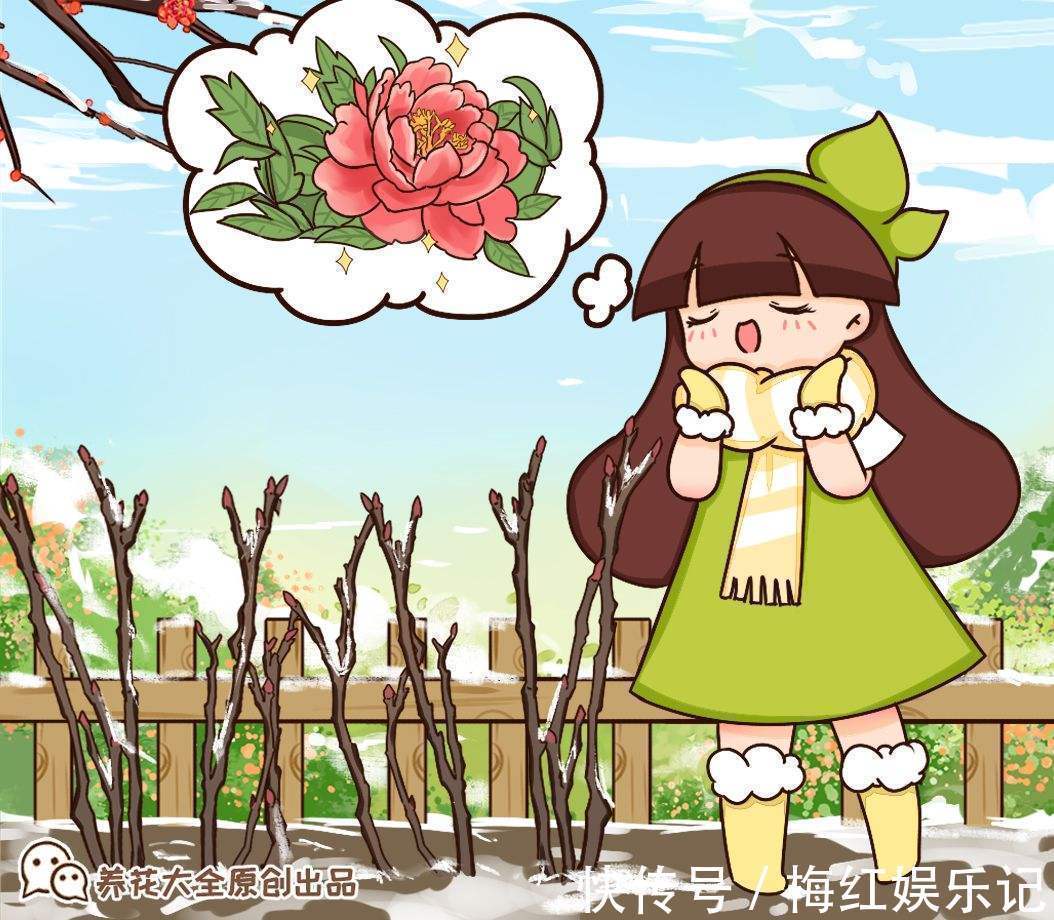 二乔|牡丹是“花中之王”,这些稀有品种就是王中王,很少有人见过!