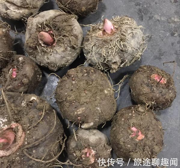 营养成分|人到中年想长寿,可以多吃三种食物,美容养颜,有益健康!