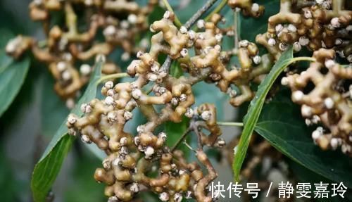 老太|女性担心老太快,可以多吃3种食物,排毒养颜,身体棒棒哒!