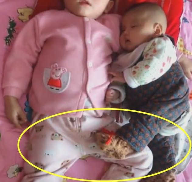 弟弟|哥哥哄弟弟睡着了,妈妈掀开被子看到这一画面,心都暖化了