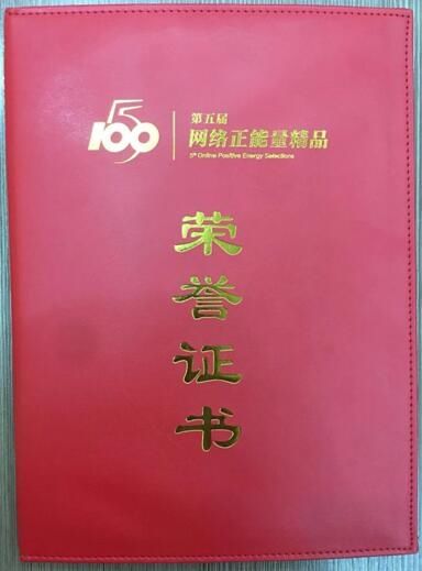  喜报|喜报！大庆网作品在＂大庆市人力资源五个一百＂网络评选中荣获佳