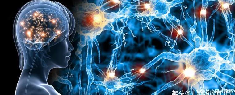 神经突触|哈佛研究:孩子一生3次黄金期,这个阶段要抓牢,抓好了更聪明