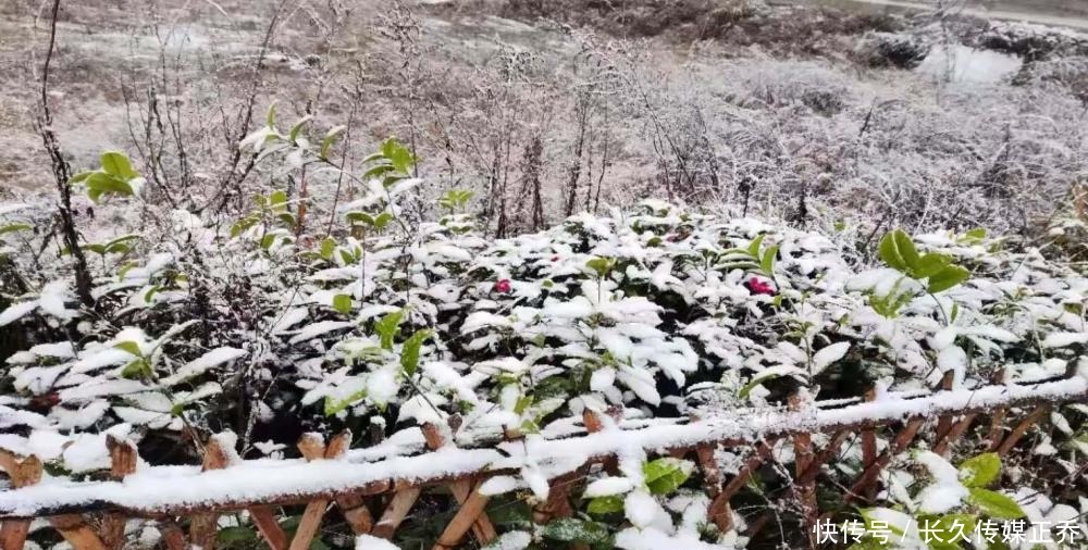 白茫茫|多图直击：2020湘西初雪已至 雪树玉砌 琉璃世界