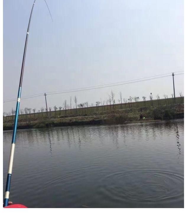 便宜|新手钓鱼一定要买便宜货？胡说，老钓手教你怎样挑装备