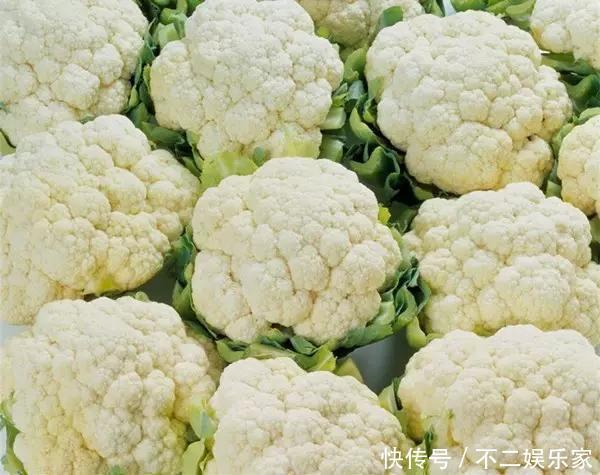 们身体|102岁老人脑部年龄仅40,医生都羡慕,原因太简单吃“它”就对了