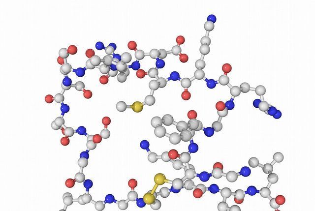 抗利尿激素|同样是运动,为什么游泳后能撒很多尿,而跑步完却不行?听专家说
