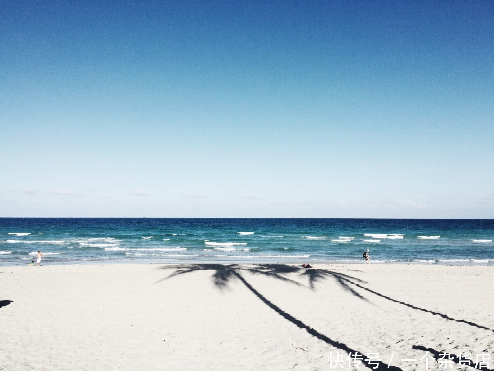 读书|一花一世界,一叶一菩提,在等待的日子里,刻苦读书,谦卑做人