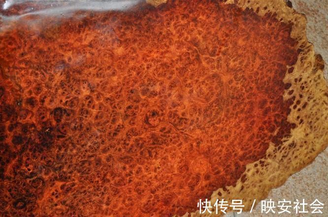 花梨木|缅甸花梨(大果紫檀),这匹“黑马”竟具备六大优点!