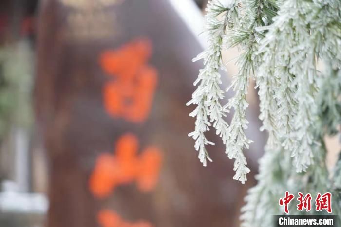 百山祖|浙江百山祖国家公园迎降雪 风景如画