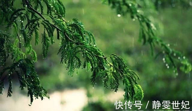 最后的诗句@一生写诗2万余首的诗人,28字写小雨,最后7个字乃是一句妙语