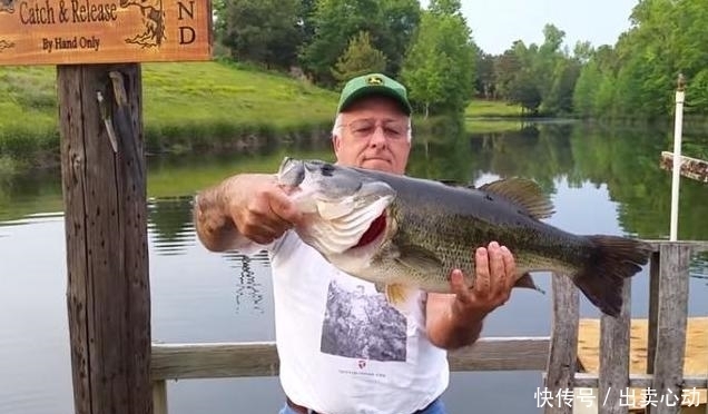 大鱼|一男子拿着小鱼跪在水边,把小鱼放在水上,结果换来了条大鱼
