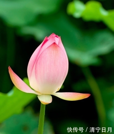 步入10月,人生大吉,4属相贵人相助,运势更上一层楼