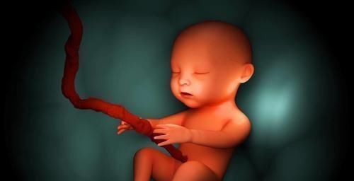 小张|四维B超产检孕妈满心期待,医生模棱两可的话,让妈妈猜了好几天