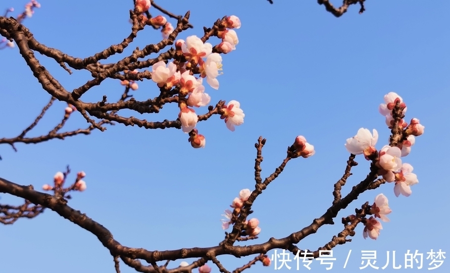 戎昱$落第诗词趣事|唐诗中落第诗人的10种羞涩之态