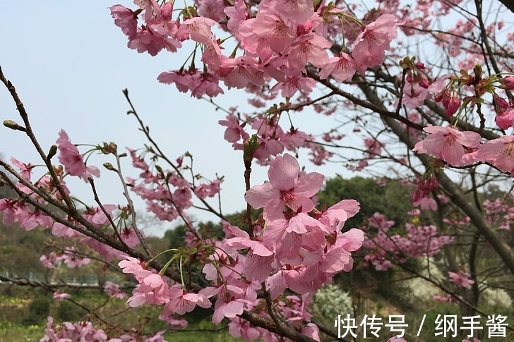 美好的生活|2月份与财有缘，财神庇佑的生肖