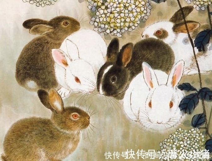 农历|生肖兔出生在几月份，命如玉兔，衣食无忧，一生不受穷，孤，苦