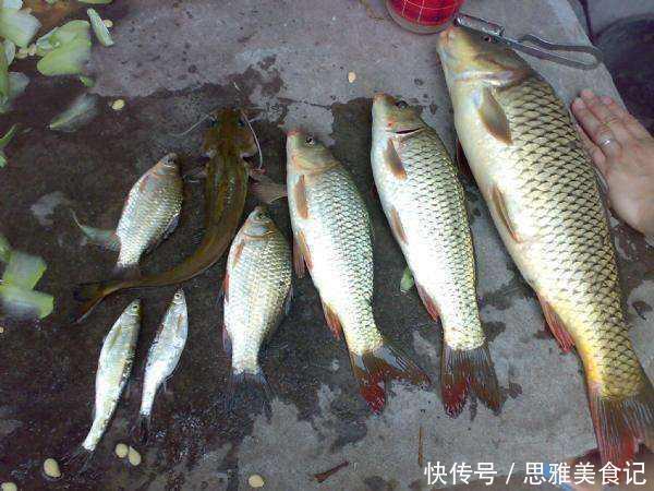 中老年人|年龄越大越要忌口?提醒:活了半辈子的人,3类食物能不碰就不碰