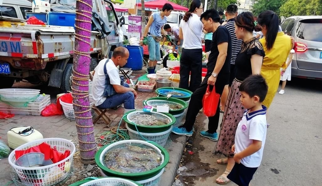 梭子蟹|梭子蟹多了，财神节摊贩也不敢涨价，30块钱买一斤大肥蟹