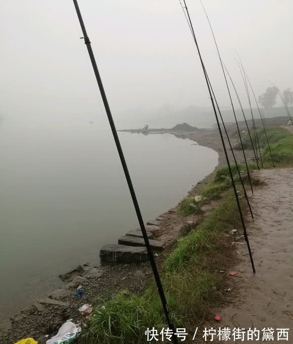 老成精了,长江钓获十多斤大鳜鱼,颜色发黑,网友:价值超千元