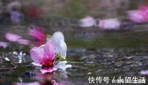 10个趣味冷知识!蟑螂小强的大众神话与草根人生!