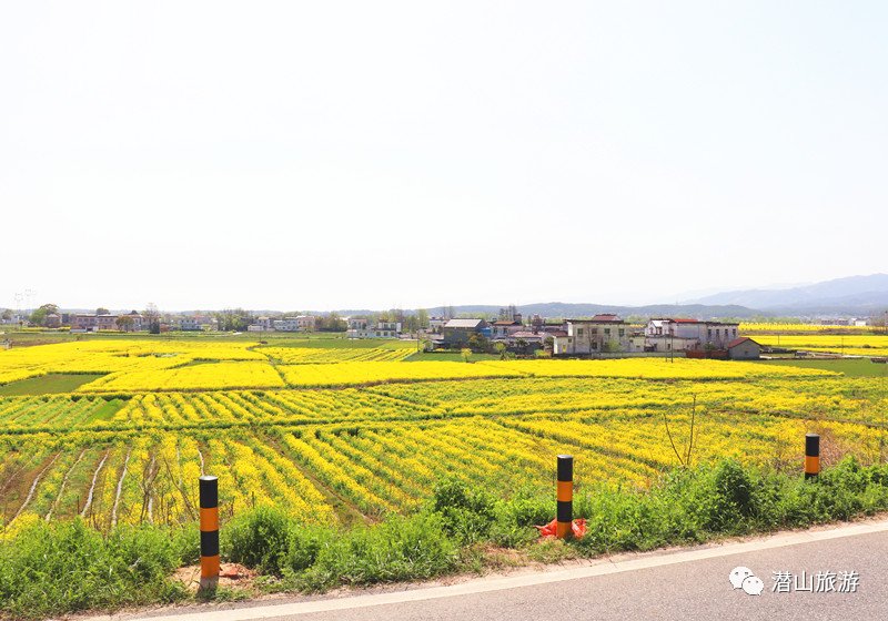 春游江淮请你来｜油菜花田里遇见非遗古陶