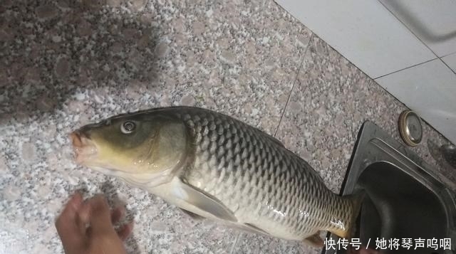 这3种东西渔具店不肯卖,专攻鲫鱼鲤鱼和草鱼,爱钓鱼的你别错过