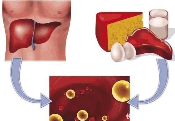 养肝|肝病科主任:2个早餐习惯不戒掉,肝脏会生病,养肝20年也白费
