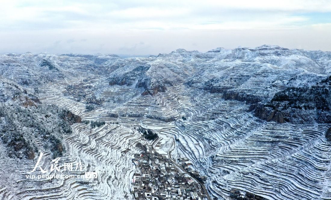 河北|河北邯郸：初雪美如画