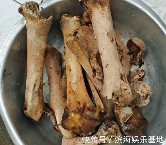 养花|7种“垃圾”不是废物,泡一下水,肥的流油,养花一级棒