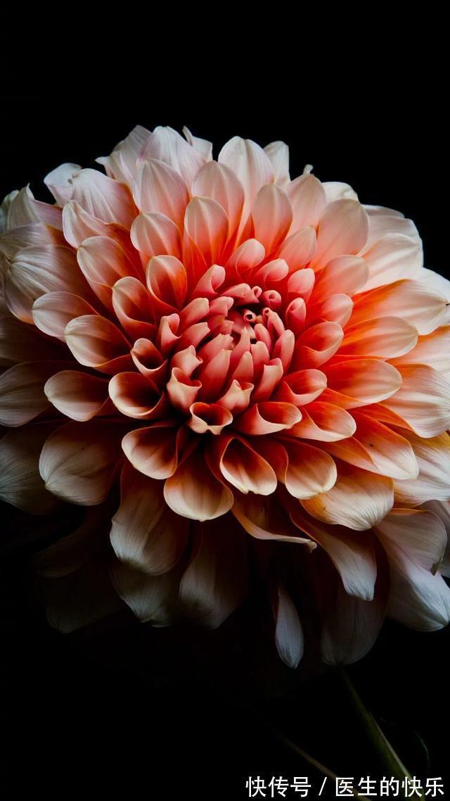 |「被窝段子20210727」生活没有低谷,只有蓄势待发