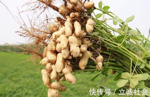 水芹菜|中年的人可以多吃3种食物，排毒养颜、延缓衰老，好吃也不贵！