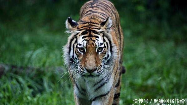 打压|此人是梁山地阴星, 绰号来自柬埔寨, 立过大功却遭打压