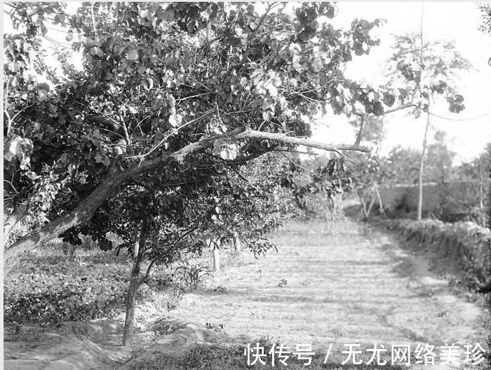 绥远|1931年 绥远萨拉齐县（今包头）老照片