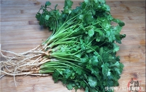 原来保存放半年的香菜这么简单,教你饭店的诀窍,一年只用买一次