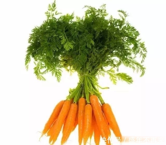 小厨房|碧纤芙白芸豆瘦身小厨房-冬季减肥食谱:萝卜汤!