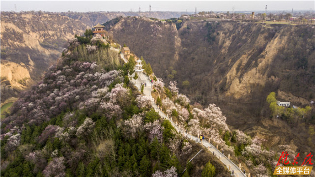 小崆峒行记|董培华 | 依依垂柳