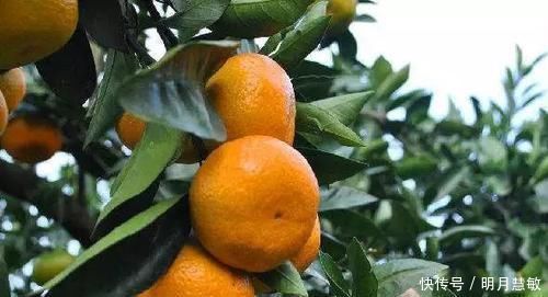 扩张血管|高血压“特怕”的5种食物,常吃可有效扩张血管,稳定血压!