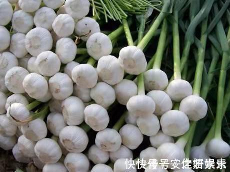 心脑血管|癌细胞“怕”几种食物,医生建议要常吃,值得一读!