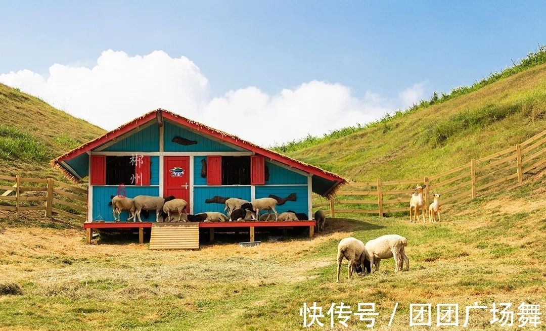 高山草原|离大湾区最近，面积最大的高山草原，被誉为“江南呼伦贝尔”