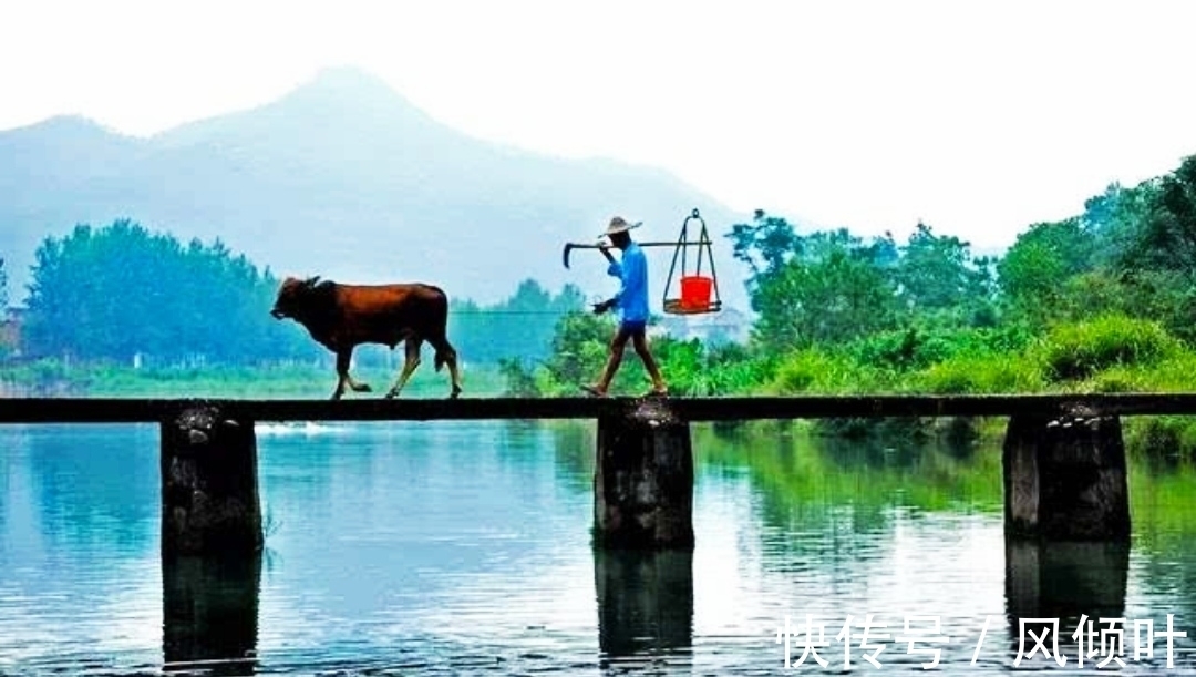 秋夜|「诗词欣赏」初唐王绩的诗:言语朴素自然,诗情画意交融