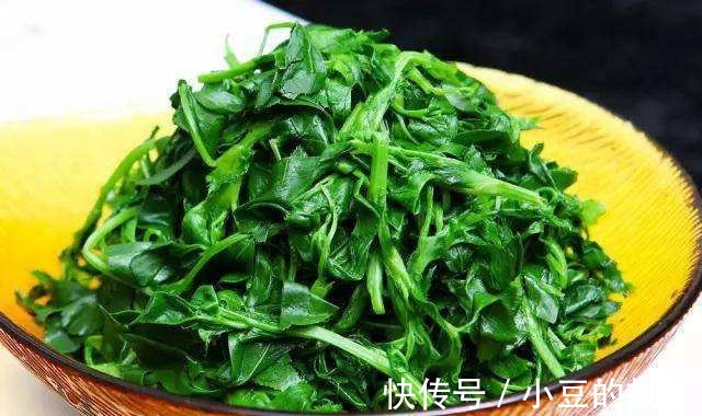 凉拌|城里的“野草”,农村的“宝贝”!常吃清热利尿,镇咳平喘强体质