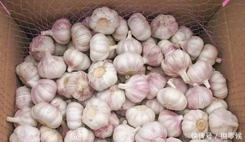 家里保存大蒜其实很简单,教你个土法子,别再担心大蒜长芽干瘪了
