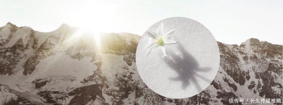 pol她给粉丝推荐几十块钱的平价产品,浴室里用的却是万元面霜?