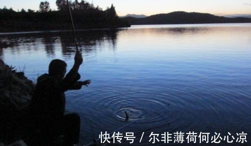 夜钓最好的机会来了！18条经验助你成功爆护！