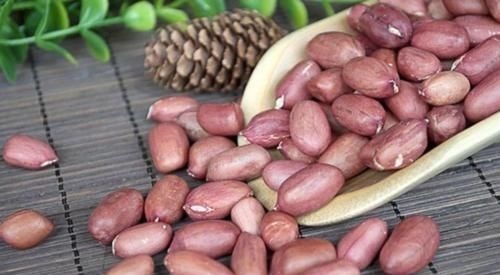 花生|瓜子和花生，一个让你长胖，一个让你减肥，你都吃对了吗？