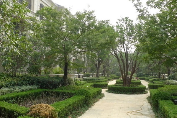 房子|2021年新规开始执行,父母有房子的人需注意,以后继承全都这样办