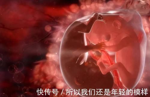 中外健康文摘|孕妈这些行为,可能会影响胎儿的生长环境——羊水,别大意