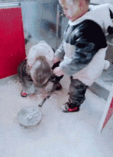 |搞笑GIF趣图小朋友,你们在玩什么游戏呢!